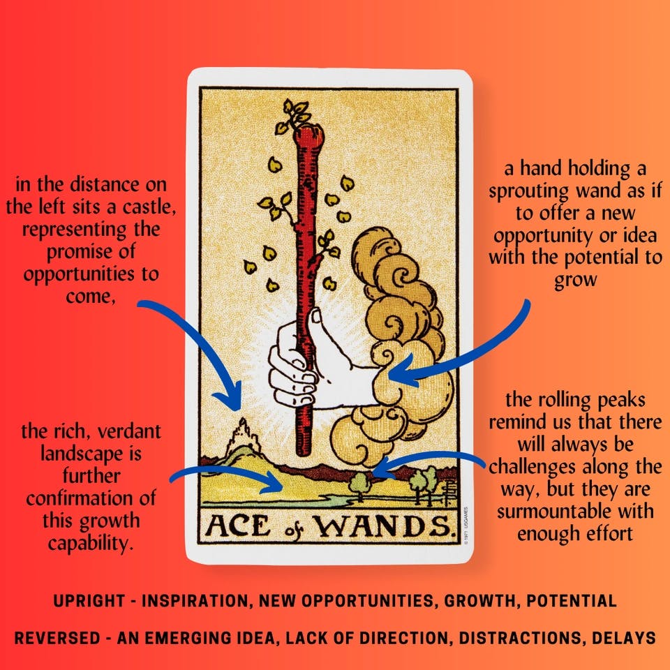 The Ace of Wands Tarot Card Meaning.png