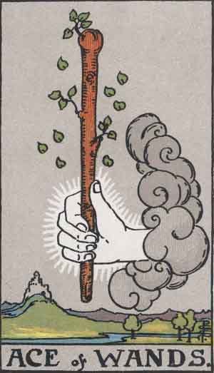 Ace of Wands Tarot Card Meaning Upright