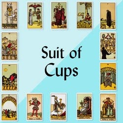 The Fool's Adventure to Meet the 14 Suit of Cup Cards