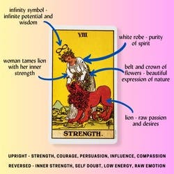 Strength Tarot Card Meaning Reference Card