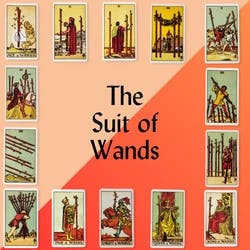 Suit of Wands: A Journey with the Fool