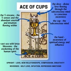 Ace of Cups Tarot Card Meaning Reference Card