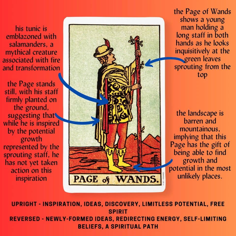 Page of Wands Tarot Card Meaning.png