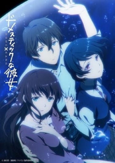 Domestic-na-Kanojo-374x530